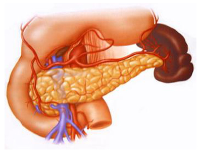 胰腺导管腺癌患者补充维生素A或可获益