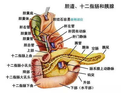 辅助放化疗或能提高肿瘤治疗疗效