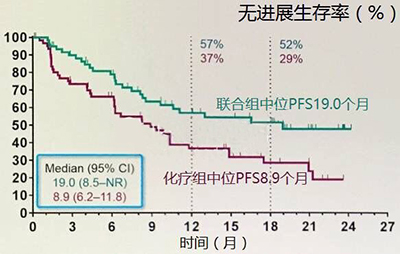 联合治疗组中位无进展生存期为19个月；单纯化疗组仅为8.9个月，联合治疗组结果翻倍。