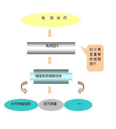 又一种肿瘤免疫新药取得进展？来自AMOO10的希望