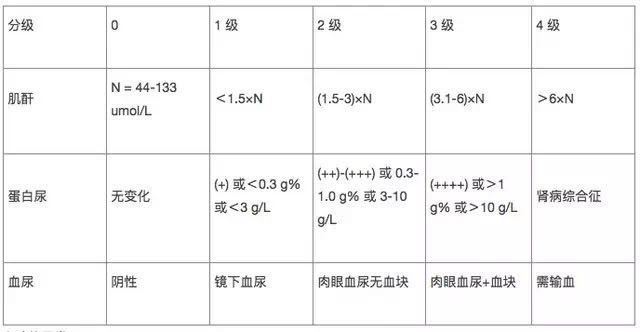 化疗的各级毒性反应-肾功能异常