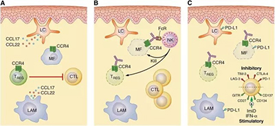 CCR4是皮肤T细胞淋巴瘤的治疗靶点