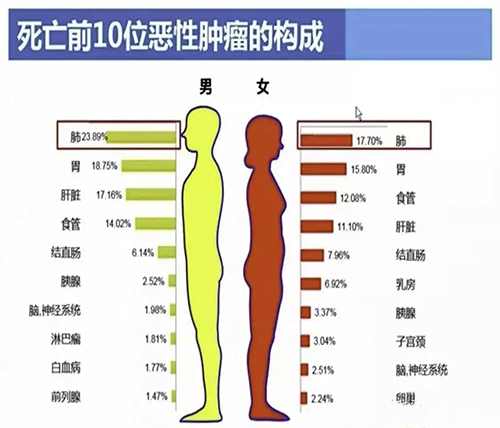 死亡前十位恶性肿瘤的构成